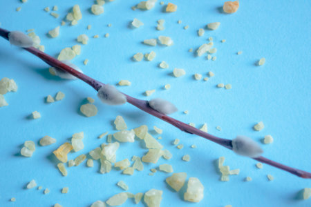 Orange crystals next to the soft buds of the willow on a blue background. On a blue background lies a willow branch and sea salt. Delicate pastel background and willow.の写真素材