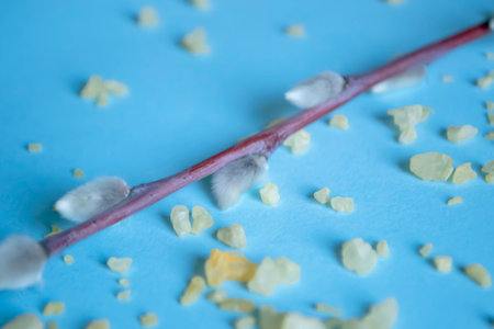 Orange crystals next to the soft buds of the willow on a blue background. On a blue background lies a willow branch and sea salt. Delicate pastel background and willow.の写真素材