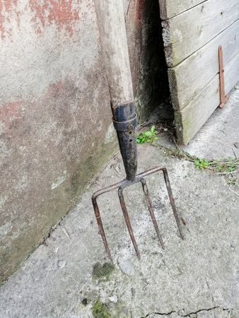 Garden forks outside. garden tool - pitchfork stands on the street.の写真素材