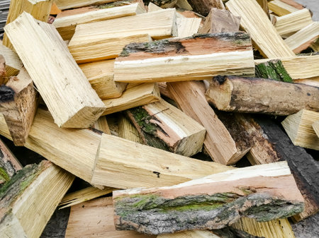 A mountain of firewood. Chopped firewood for the winter. acacia firewood. a lot of firewood - harvesting wood for heating the house.の写真素材