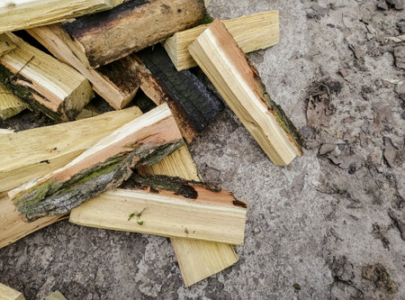 A mountain of firewood. Chopped firewood for the winter. acacia firewood. a lot of firewood -...