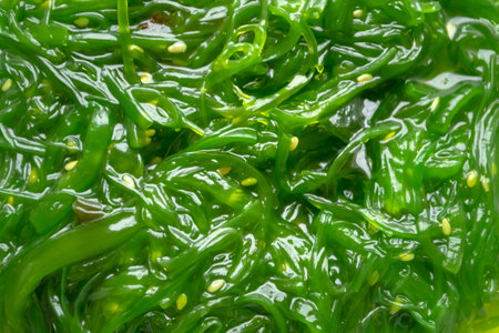 Wakame seaweed chuka salad with sesame. Background image of seaweed lettuce. Useful algae - wakame.の写真素材