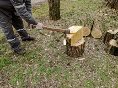 A man chops wood. Chopping firewood before winter - man, ax and wood. The process of chopping wood with an ax.の写真素材