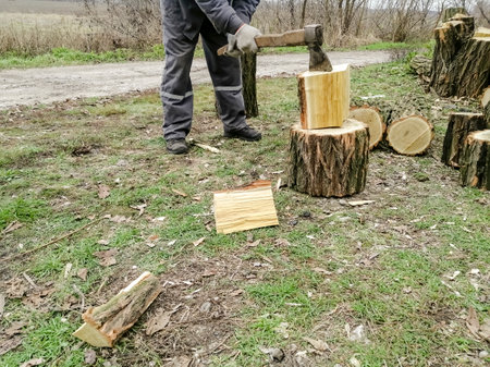 A man chops wood. Chopping firewood before winter - man, ax and wood. The process of chopping wood with an ax.の写真素材