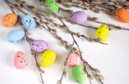 Quail eggs at Easter. Among the young branches lie Easter eggs. On a white background there are many Easter eggs and willow branches.の写真素材