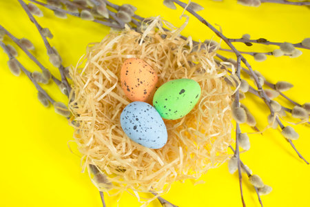 Easter eggs lie in a nest on a yellow background among the branches of a willow. Many willow branches on a yellow background. The eggs are painted with different colors.の写真素材