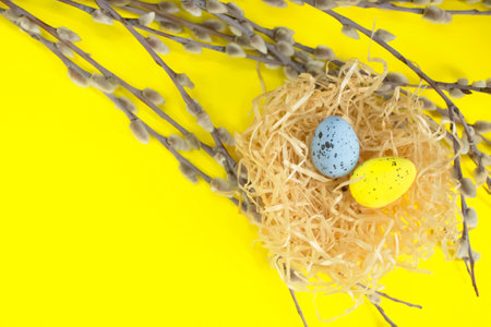Easter eggs lie in a nest on a yellow background among the branches of a willow. Many willow branches on a yellow background and an ornamental nest with quail eggs.の写真素材