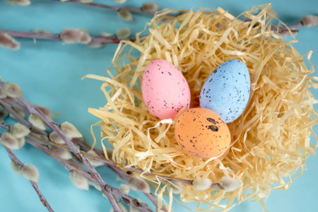 Decorations for Easter - colored eggs and willow branches. on a blue background lie willow branches and a nest with Easter eggs.の写真素材