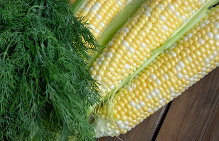 Healthy summer vegetables on a wooden table. Corn with dill. green, young dill next to juicy heads of corn. Young corn is two-colored.の写真素材