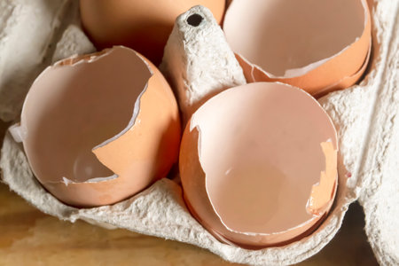 Eggshells in a paper tray. The product of processing is a paper tray and empty eggshells. Lots of eggshells.の写真素材