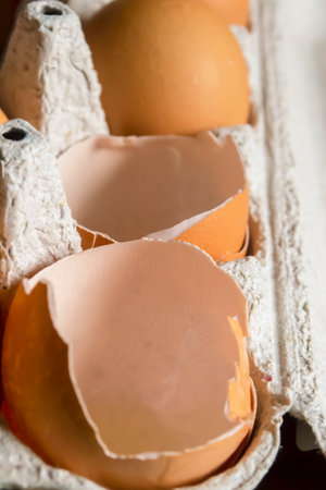 Eggshells in a paper tray. The product of processing is a paper tray and empty eggshells. Lots of eggshells.の写真素材