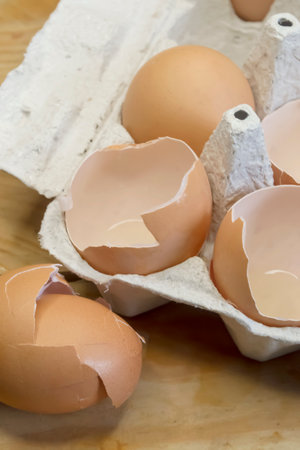 Broken and whole eggs in the tray. The paper tray for eggs is filled with shells. used eggshells. eggshell processing.の写真素材