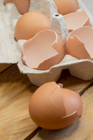 Broken eggs. Chicken egg shells in the tray. There is only broken shell in the egg tray. spent eggs....