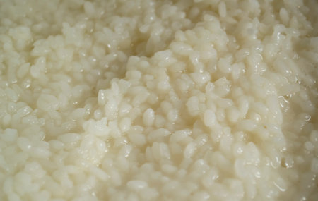 Boiled rice. Round rice after cooking. Rice for sushi. Glutinous boiled rice.の写真素材