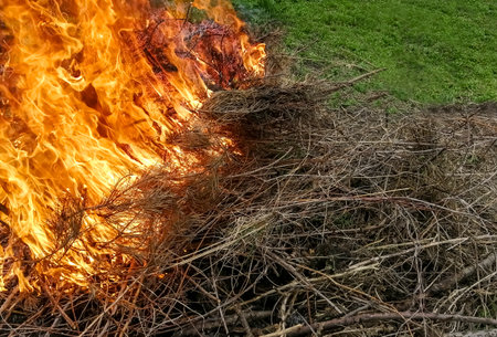 beautiful fire. Dangerous fire - dry grass and branches burn. burning dry branches. spring works in the garden.の写真素材