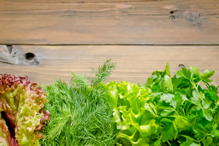 Lettuce leaves are red and green, parsley and dill lie in a row. Useful spring crops for food.の写真素材