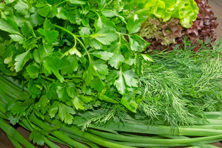 Green onions, lettuce, parsley, dill together. Background photo of useful greenery. Cooking - spring greens.の写真素材