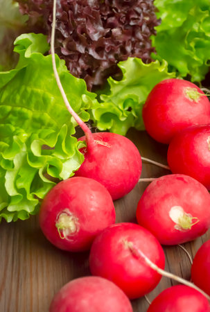 radish and lettuce on a wooden table. Healthy vegetables in the spring. Seasonal vitamins - radishes and green salad from the garden.の写真素材