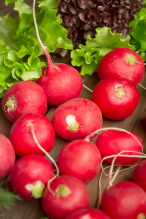 radish and lettuce on a wooden table. Healthy vegetables in the spring. Seasonal vitamins - radishes and green salad from the garden.の写真素材