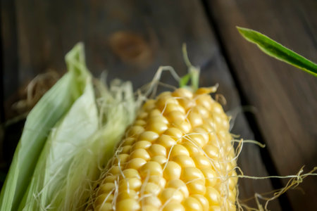 Cobs of corn on a wooden table. A few heads of corn in leaves on the table. Young, sweet corn to the table. corn harvest.の写真素材