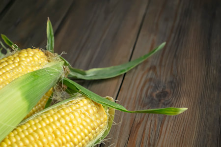Cobs of corn on a wooden table. A few heads of corn in leaves on the table. Young, sweet corn to the table. corn harvest.の写真素材