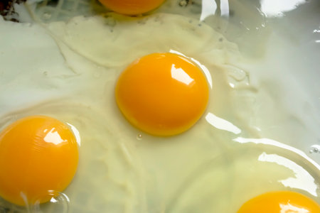 Fried fried fried eggs close-up. protein breakfast. beautiful fried eggs. yellow yolk.の写真素材