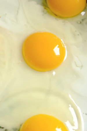 Fried fried fried eggs close-up. protein breakfast. beautiful fried eggs. yellow yolk.の写真素材