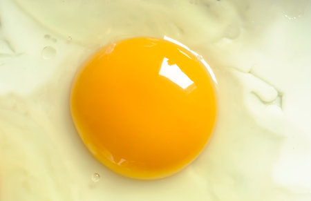One fried egg. The bright yolk of a fried egg. Fried eggs close-up.の写真素材