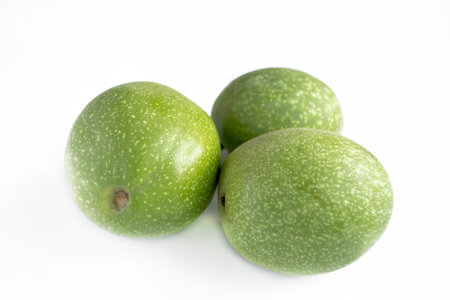 Green walnut on a white background. Three fruits of green walnut. On a white background there are three nuts in a green skin. walnut in the shell.の写真素材