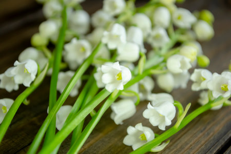 Lily of the valley flowers lie together. Multicolors of lily of the valley. Lily of the valley season - harvesting for sale. A lot of bells are white.の写真素材