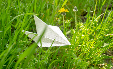 Paper plane in the grass next to a flower. In the green grass paper plane - origami. paper plane made of checkered paper.の写真素材