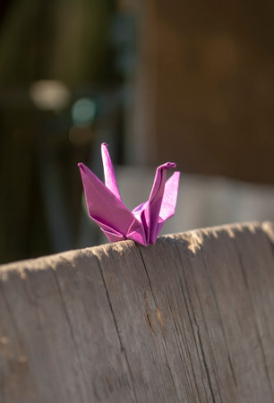 A purple paper crane stands on a wooden board. one paper crane. Origami is a paper crane, a symbol of freedom and hope.の写真素材