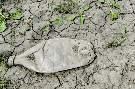 A dry plastic bottle is flattened on the cracked ground. Flattened plastic bottle on dry ground. There is no water, the problem of water shortage in the world.の写真素材