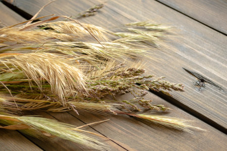 Dry spikelets lie on a wooden background. The harvest season for wheat and wheat is dry ears of corn on the table. On a wooden table are ears of dry wheat and wheat.の写真素材