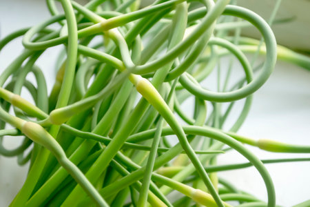 Garlic arrows on a white background. Garlic arrows. On the white table are green arrows of garlic. fresh herbs. Chinese cuisine.の写真素材