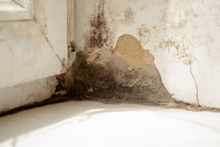 There is a lot of black mold in the corner of the window. There is black mold on the window. Dangerous black mold in the corner of the windowsill.の写真素材
