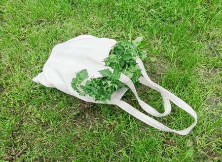 In the eco-bag there are tomato seedlings. Lots of greenery in an eco-bag on the lawn. Light eco-bag made of flax on the lawn with tomato seedlings.の写真素材