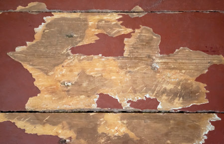 Burgundy paint peeled off the floor. The paint peeled off the wood. Old paint on wooden boards.
