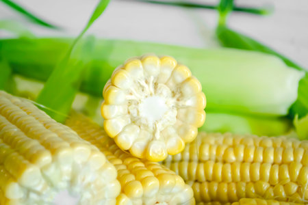 Corn close-up. ear of corn in section. Corn kernels are attached to the cob.の写真素材