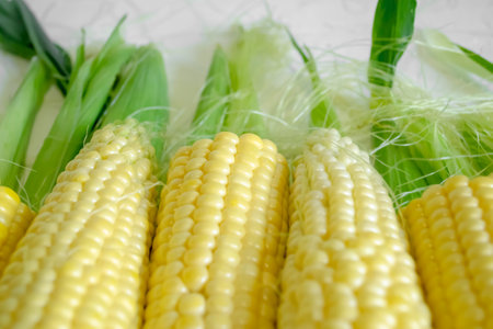 A lot of corn lies together. Cobs of corn lie in a row on green leaves.