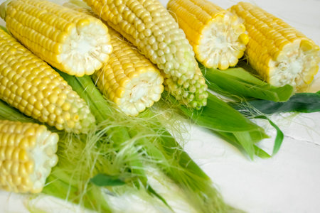 A lot of ears of corn on a white background. Lots of broken corn cobs. fresh, sweet corn on the table.の写真素材