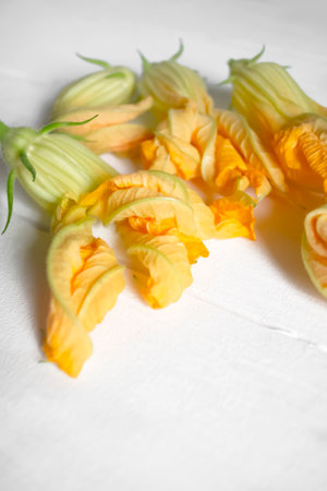 Zucchini flowers on a white wooden table. On a white background, orange zucchini flowers. Zucchini flowers for food.の写真素材