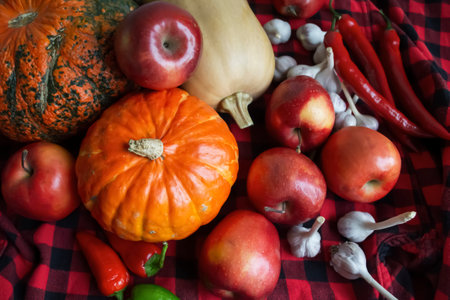 Gifts of autumn. Lots of vegetables and fruits on a red checkered blanket. Pumpkins, apples, garlic, hot peppers - harvesting.の写真素材