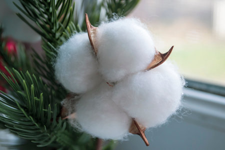 A cotton bud next to spruce branches. The christmas decorations are cotton and spruce branches.の写真素材