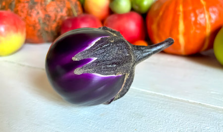 purple, round eggplant. A variety of round eggplant. A small, round eggplant on the table.の写真素材