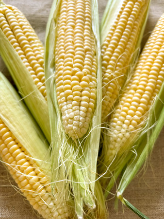 Young corn close-up. Yellow corn cobs. Fresh, raw corn on the table.
