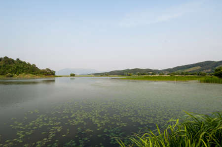 Upo Wetland is a natural protected areaの写真素材
