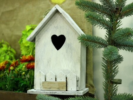 A bird house on white starling house Wooden birdhouse  on the treeの写真素材