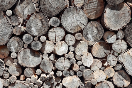 A pile of cut wood stump log texture Pile of wood logs ready for winter - landscape exteriorの写真素材