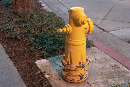 Fire Hydrantの写真素材